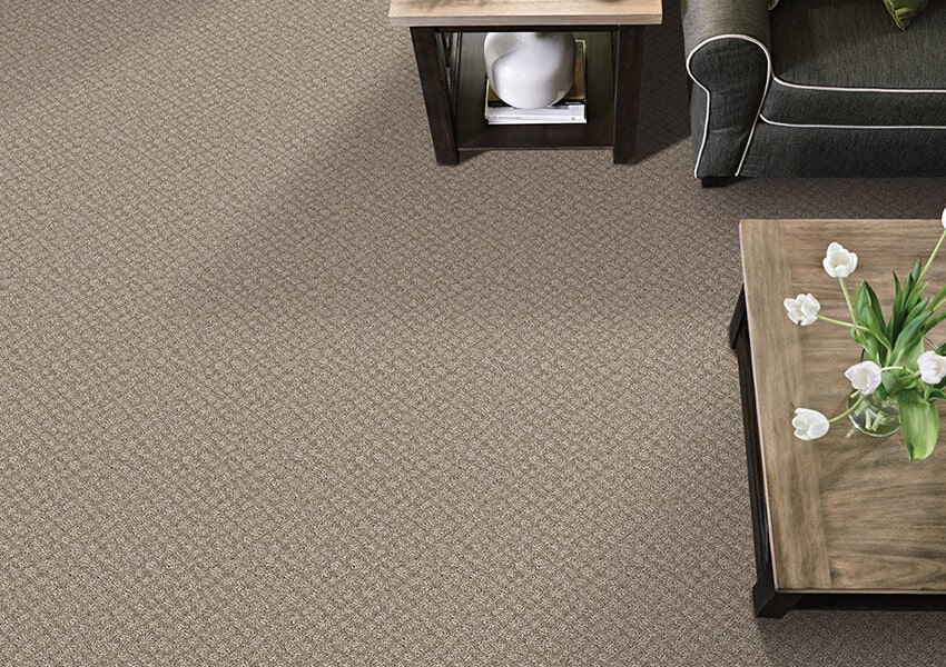 Chic Shades carpet in a light color