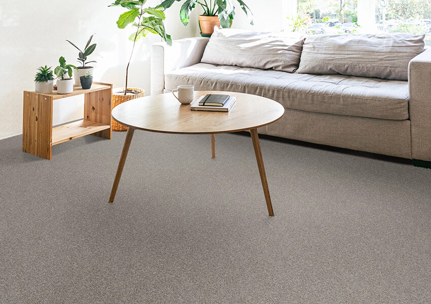 Discount Carpet Remnants Outlet - How to Save on Carpet